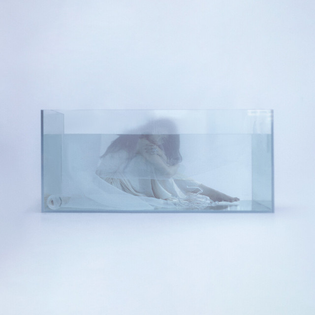 Jellyfish Cover