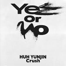 Yes or No Cover